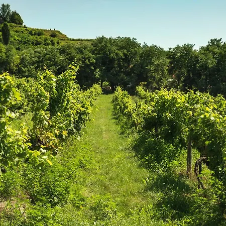 In - Balaton 44880 Appartamento Hévíz
