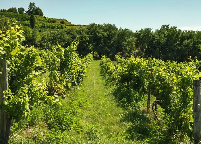 In - Balaton 44880 Appartamento Hévíz